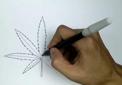 How to Draw a Cannabis Leaf